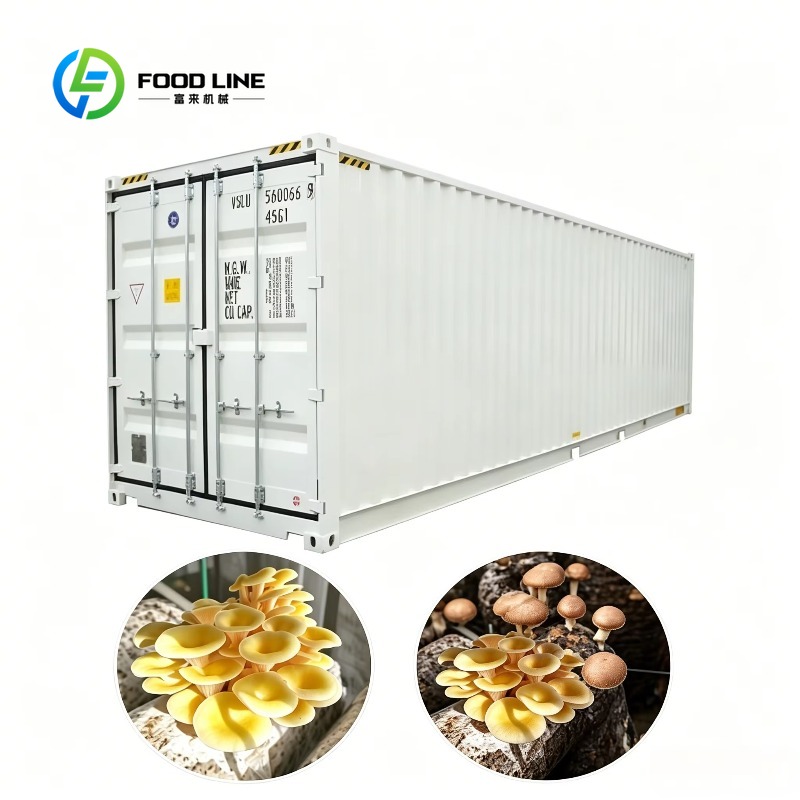 Urban Farming Hydroponic System - Hydroponic Container Farm with Automated Irrigation