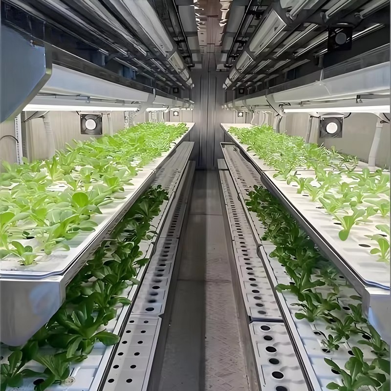Smart Planting Container Verti - đánh giá và giá Urban Farming Hydroponic System