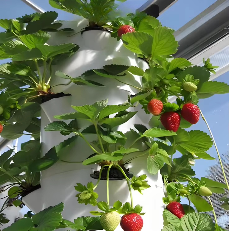 Modular hydroponic growth wall - đánh giá và giá Urban Farming Hydroponic System