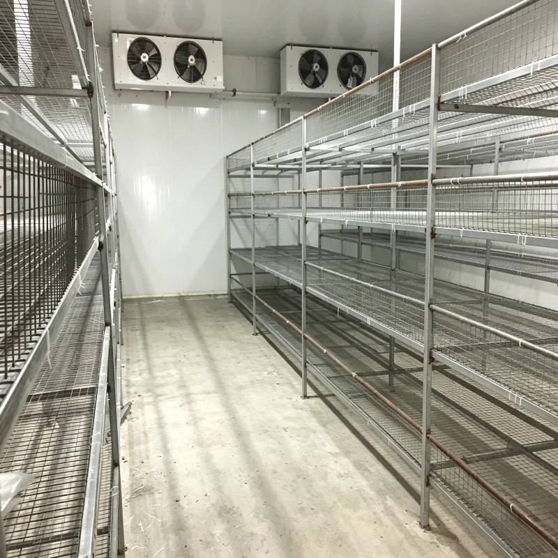 Hydroponic Container Farm with - đánh giá và giá Urban Farming Hydroponic System