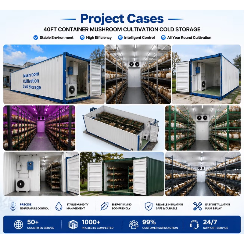 Hydroponic Container Farm with - đánh giá và giá Urban Farming Hydroponic System