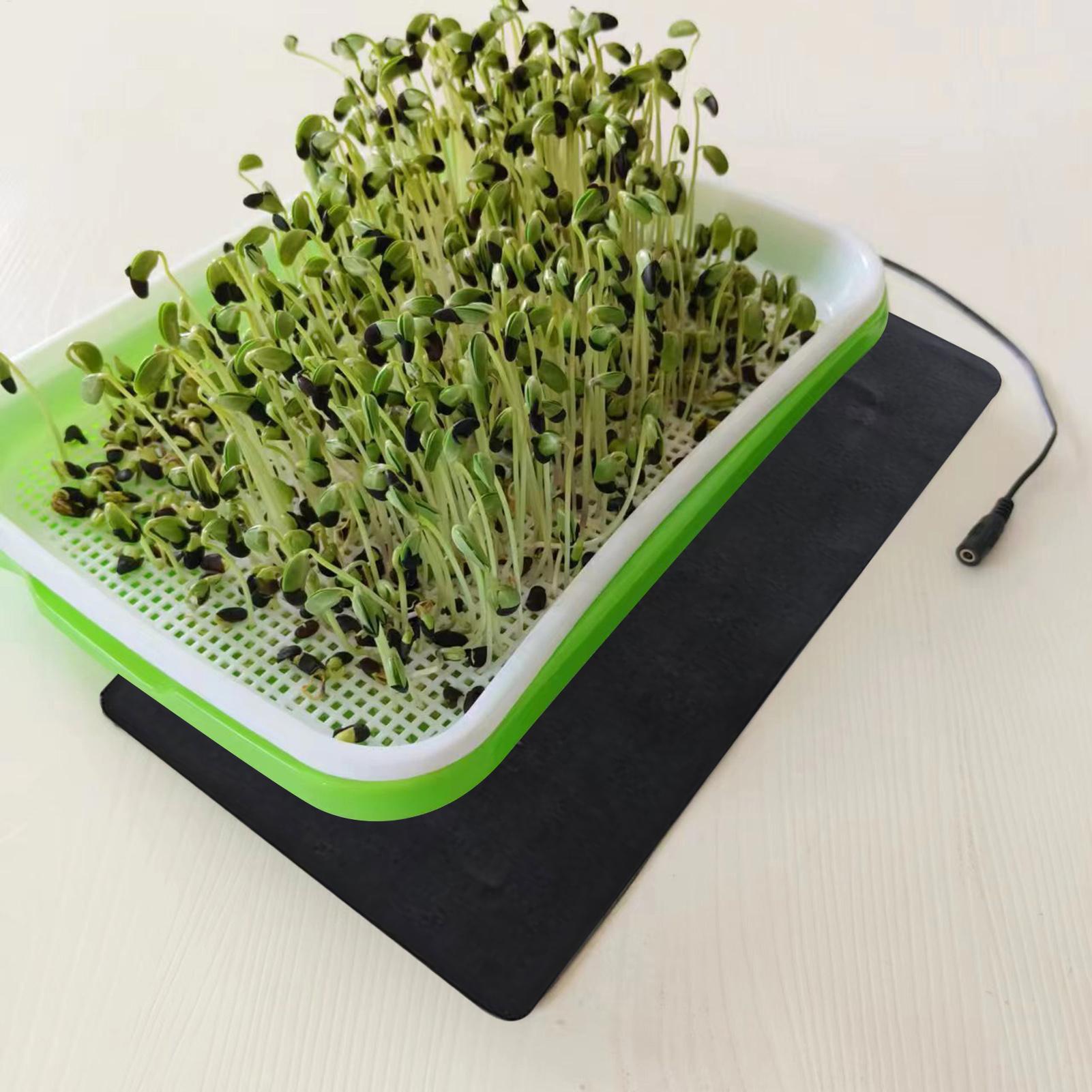 Seedling Heat Mat 5V 2A 8.5W P - đánh giá và giá Seedling Heat Pad